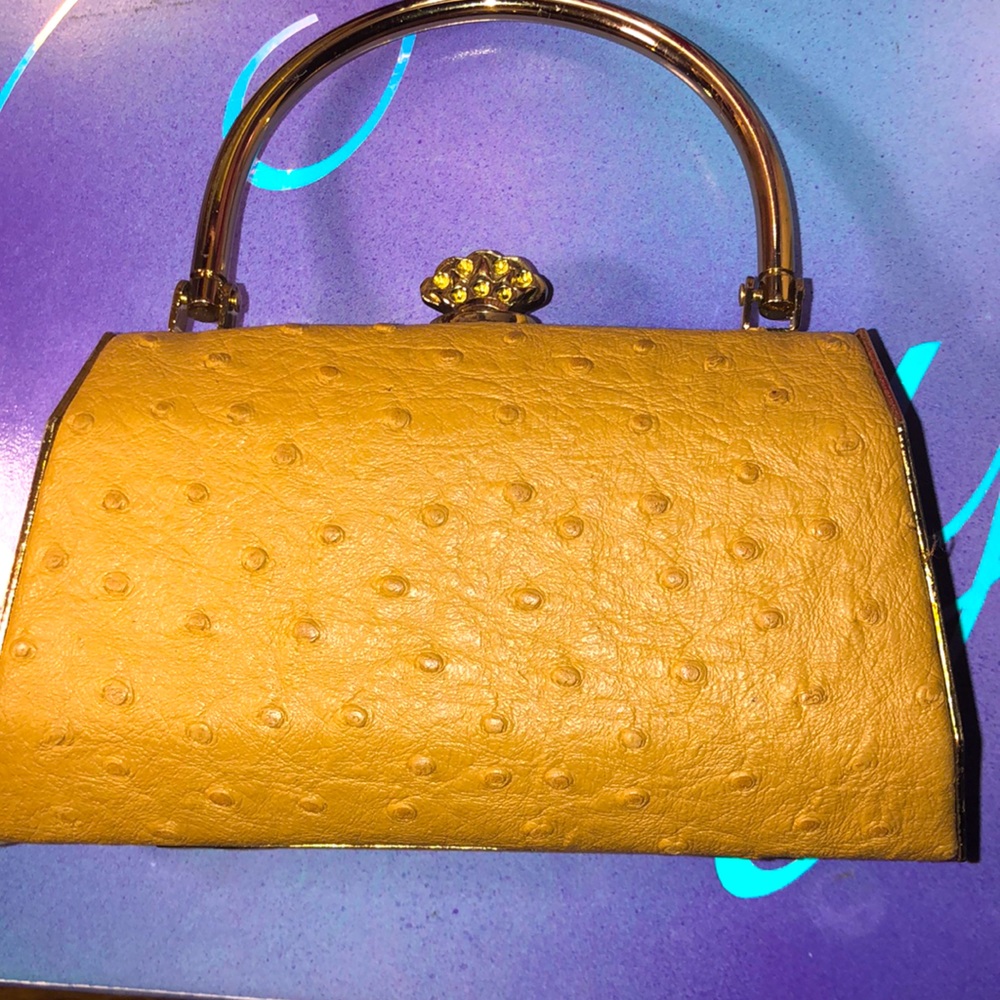 Bijoux Terner Purse used